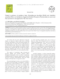 Natural Occurrence of Predatory Bugs, Eocanthecona Furcellata (Wolff) and Andrallus Spinidens (Fabr.) on Spodoptera Frugiperda (