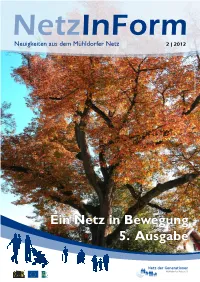 Netzinform 2.2012 Runterladen