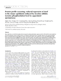 Protein Profile Screening: Reduced Expression of Sord in the Mouse