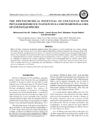 The Phytochemical Potential of Gnetaceae with Peculiar Reference to Gnetum Ula and Traditional Uses of Gnetaceae Species