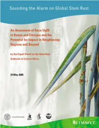 Sounding the Alarm on Global Stem Rust