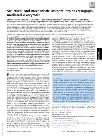 Structural and Mechanistic Insights Into Secretagogin-Mediated