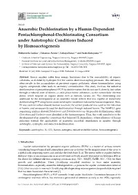 Anaerobic Dechlorination by a Humin-Dependent Pentachlorophenol-Dechlorinating Consortium Under Autotrophic Conditions Induced by Homoacetogenesis