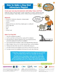 How to Make a Dog Sled Adventure Playset