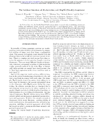 The Holdase Function of Escherichia Coli Hsp70 (Dnak) Chaperone