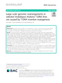 Large Scale Genomic Rearrangements in Selected