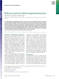 Molecular Machines with Bio-Inspired Mechanisms SPECIAL FEATURE: PERSPECTIVE