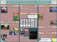 Phylogenetic Distribution of an Endogenous Strain of Dahlia