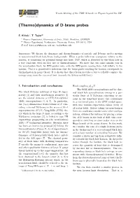 (Thermo)Dynamics of D-Brane Probes