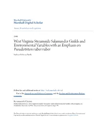 West Virginia Streamside Salamander Guilds and Environmental Variables with an Emphasis on Pseudotriton Ruber Ruber Kathryn Rebecca Pawlik