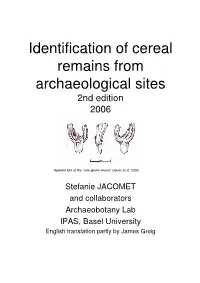 Identification of Cereal Remains from Archaeological Sites 2Nd Edition 2006