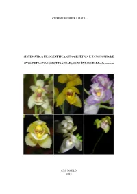 ORCHIDACEAE), COM ÊNFASE EM Koellensteinia