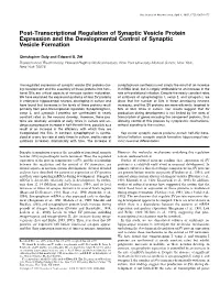 Post-Transcriptional Regulation of Synaptic Vesicle Protein Expression and the Developmental Control of Synaptic Vesicle Formation