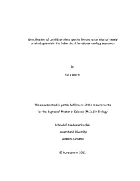 Identification of Candidate Plant Species for the Restoration of Newly Created Uplands in the Subarctic: a Functional Ecology Approach