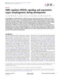 ISM1 Regulates NODAL Signaling and Asymmetric Organ Morphogenesis During Development