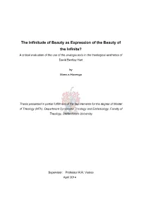 The Infinitude of Beauty As Expression of the Beauty of the Infinite?
