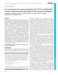 An Unconventional Interaction Between Dis1/TOG and Mal3/EB1 in Fission Yeast Promotes the Fidelity of Chromosome Segregation Yuzy Matsuo1,2, Sebastian P