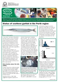 Status of Southern Garfish in the Perth Region in 2010-2011 (Figure 1) and the Proportion of Fish Aged More Than Two Years Fell from 30 % to Less Than 5%