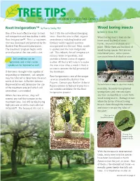 Tree Tips Tree & Shrub Care from Bartlett Tree Experts