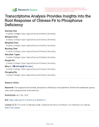 Transcriptome Analysis Provides Insights Into the Root Response of Chinese Fir to Phosphorus Defciency