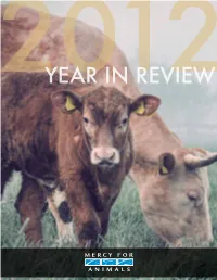 Year in Review