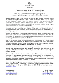 Com St 06 08 03Calicistelle2006 ENG.Pdf