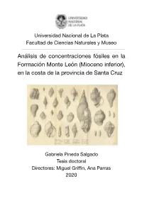 Pineda-Salgado, 2020 CD