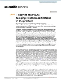 Telocytes Contribute to Aging-Related Modifications in the Prostate