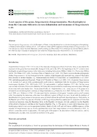 A New Species of the Genus Jungermannia (Jungermanniales, Marchantiophyta) from the Caucasus with Notes on Taxa Delimitation and Taxonomy of Jungermannia S