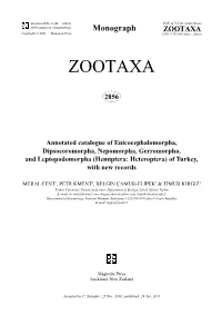 Annotated Catalogue of Enicocephalomorpha, Dipsocoromorpha, Nepomorpha, Gerromorpha, and Leptopodomorpha (Hemiptera: Heteroptera) of Turkey, with New Records