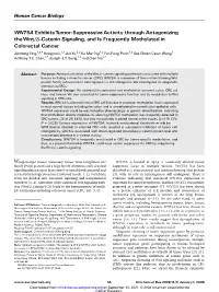 WNT5A Exhibits Tumor-Suppressive Activity Through Antagonizing the Wnt/B-Catenin Signaling, and Is Frequently Methylated in Colo