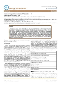 Morphologic Evaluation of Anemia – I Adewoyin S
