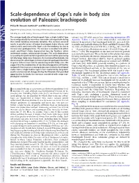 Scale-Dependence of Cope's Rule in Body Size Evolution of Paleozoic