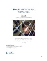 The Cost of Ice's Policies and Practices