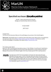 Download PDF Version