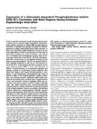 (PDE 1 B 1) Correlates with Brain Regions Having Extensive Dopaminergic Innervation