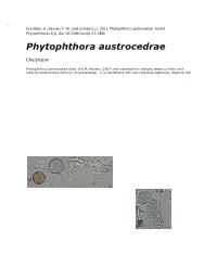 Phytophthora Austrocedrae