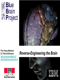 Reverse-Engineering the Brain Felix.Schuermann@Epfl.Ch