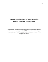 Genetic Mechanisms of Pitx1 Action in Murine Hindlimb Development