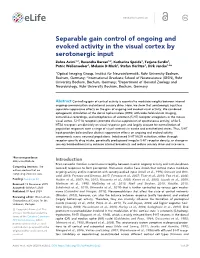 Separable Gain Control of Ongoing and Evoked Activity in the Visual Cortex