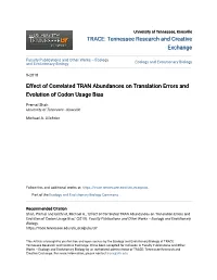 Effect of Correlated TRAN Abundances on Translation Errors and Evolution of Codon Usage Bias