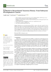Epithelial to Mesenchymal Transition History: from Embryonic Development to Cancers