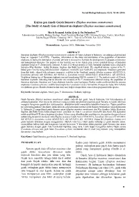 Kajian Gen Amely Gajah Sumatra (Elephas Maximus Sumatranus) [The Study of Amely Gen of Sumatran Elephant (Elephas Maximus Sumatranus)]