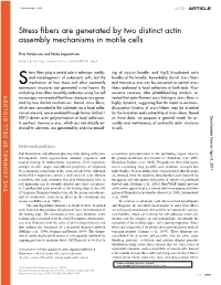 Stress Fibers Are Generated by Two Distinct Actin Assembly Mechanisms
