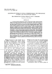 Djvu Document
