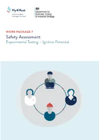WP7 Safety Assessment: Experimental Testing