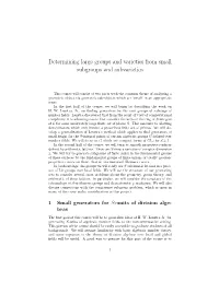 Determining Large Groups and Varieties from Small Subgroups and Subvarieties
