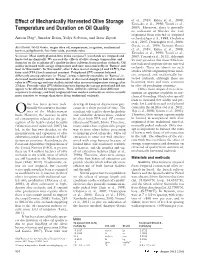 Effect of Mechanically Harvested Olive Storage Temperature and Duration