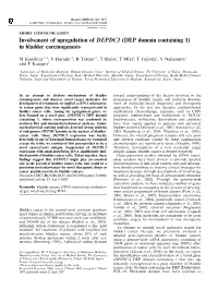 Involvement of Upregulation of DEPDC1 (DEP Domain Containing 1) in Bladder Carcinogenesis