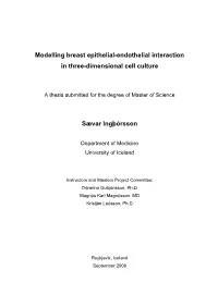 Modelling Breast Epithelial-Endothelial Interaction in Three-Dimensional Cell Culture
